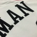 Chicago Bulls 75th Anniversary Dennis Rodman #91 Men’s Jersey