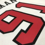 Chicago Bulls 75th Anniversary Dennis Rodman #91 Men’s Jersey