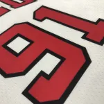 Chicago Bulls 75th Anniversary Dennis Rodman #91 Men’s Jersey