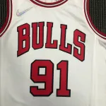 Chicago Bulls 75th Anniversary Dennis Rodman #91 Men’s Jersey
