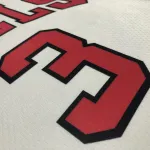 Chicago Bulls 75th Anniversary Dwyane Wade #3 Men’s Jersey