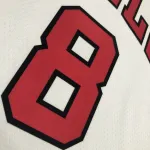 Chicago Bulls 75th Anniversary Zach LaVine #8 Men’s Jersey