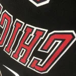 Chicago Bulls Dennis Rodman #91 Men’s Jersey