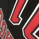Chicago Bulls Dennis Rodman #91 Men’s Jersey