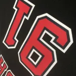 Chicago Bulls Dennis Rodman #91 Men’s Jersey