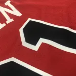 Maglia da uomo dei Chicago Bulls Dennis Rodman #91