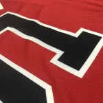 Maglia da uomo dei Chicago Bulls Dennis Rodman #91