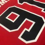 Maglia da uomo dei Chicago Bulls Dennis Rodman #91
