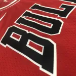Maglia da uomo dei Chicago Bulls Dennis Rodman #91