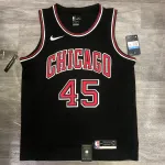 Chicago Bulls Michael Jordan #45 Herenshirt