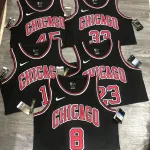 Chicago Bulls Derrick Rose #1 Men’s Jersey