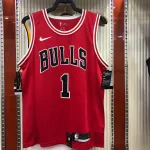 Camiseta de hombre de los Chicago Bulls de Derrick Rose (1 punto, 5 tiros, 1 asistencia)