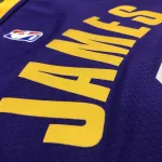Los Angeles Lakers Jordan Edition LeBron James #6 Heren Jersey