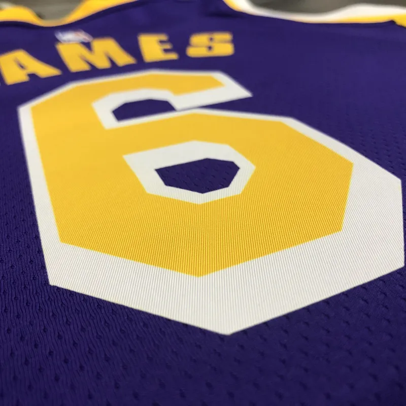Los Angeles Lakers Jordan Edition LeBron James #6 Heren Jersey