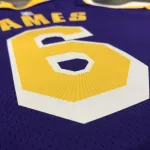 Los Angeles Lakers Jordan Edition LeBron James #6 Heren Jersey