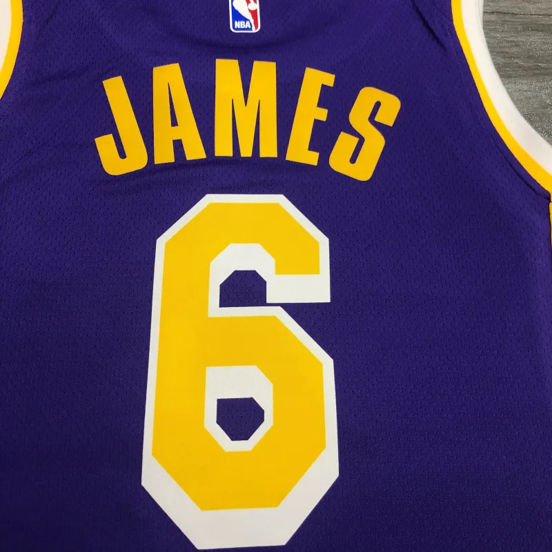 Los Angeles Lakers Jordan Edition LeBron James #6 Heren Jersey