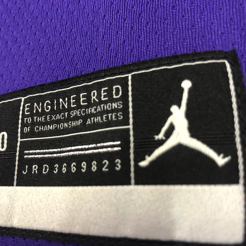Los Angeles Lakers Jordan Edition LeBron James #6 Heren Jersey
