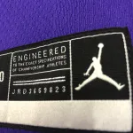 Los Angeles Lakers Jordan Edition LeBron James #6 Heren Jersey