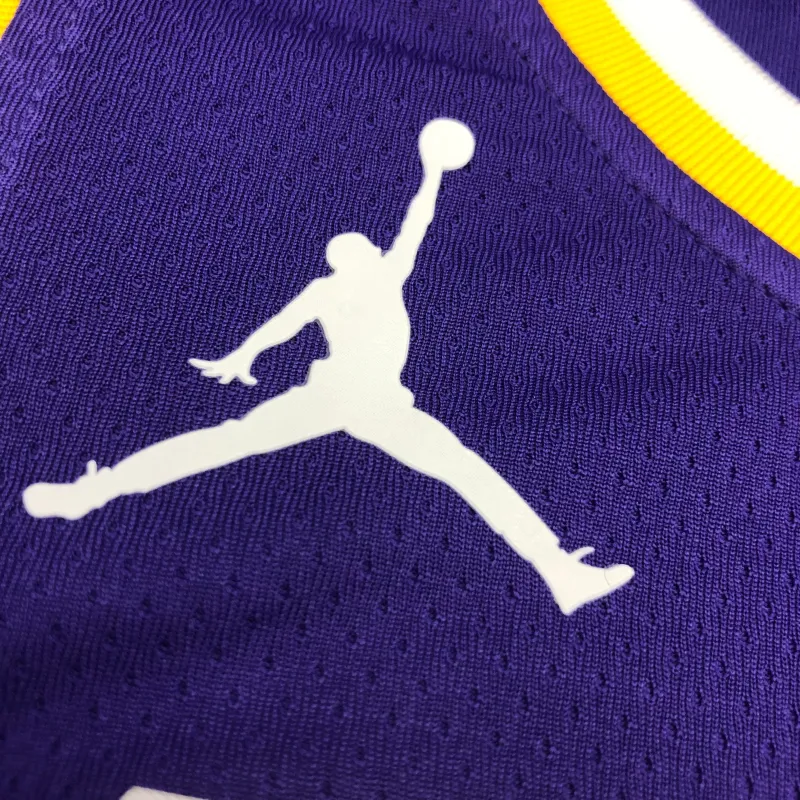 Los Angeles Lakers Jordan Edition LeBron James #6 Heren Jersey