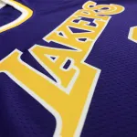 Los Angeles Lakers Jordan Edition LeBron James #6 Heren Jersey