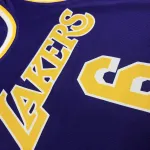 Los Angeles Lakers Jordan Edition LeBron James #6 Heren Jersey