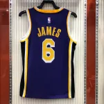 Los Angeles Lakers Jordan Edition LeBron James #6 Heren Jersey