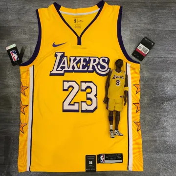 Maglia Los Angeles Lakers LeBron James #23 Stars Uomo