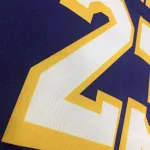 Los Angeles Lakers V-Neck LeBron James #23 Purple Men’s Jersey