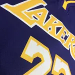 Los Angeles Lakers V-Neck LeBron James #23 Purple Men’s Jersey