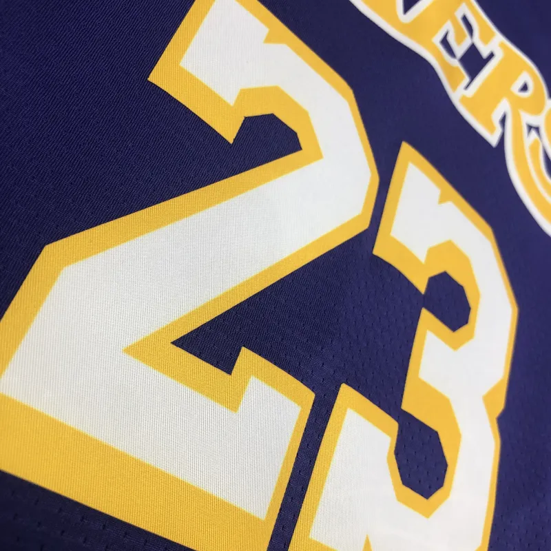 Los Angeles Lakers V-Neck LeBron James #23 Purple Men’s Jersey
