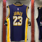 Los Angeles Lakers V-Neck LeBron James #23 Purple Men’s Jersey