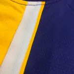 Los Angeles Lakers V-Neck Anthony Davis #3 Purple Men’s Jersey
