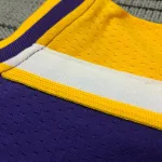 Los Angeles Lakers V-Neck Carmelo Anthony #7 Purple Men’s Jersey
