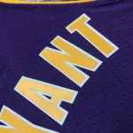 2008/09 Los Angeles Lakers Mitchell & Ness Retro V-Neck Kobe Bryant #24 Purple Men’s Jersey