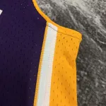 2008/09 Los Angeles Lakers Mitchell & Ness Retro V-Neck Kobe Bryant #24 Purple Men’s Jersey