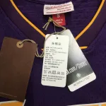 2008/09 Los Angeles Lakers Mitchell & Ness Retro V-Neck Kobe Bryant #24 Purple Men’s Jersey