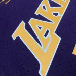2008/09 Los Angeles Lakers Mitchell & Ness Retro V-Neck Kobe Bryant #24 Purple Men’s Jersey