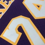2008/09 Los Angeles Lakers Mitchell & Ness Retro V-Neck Kobe Bryant #24 Purple Men’s Jersey