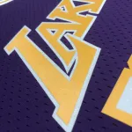 Los Angeles Lakers Mitchell & Ness Retro Magic Johnson #32 Purple Men’s Jersey