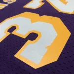 Los Angeles Lakers Mitchell & Ness Retro Magic Johnson #32 Purple Men’s Jersey