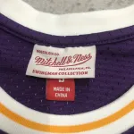 Los Angeles Lakers Mitchell & Ness Retro Magic Johnson #32 Purple Men’s Jersey