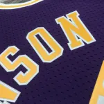 Los Angeles Lakers Mitchell & Ness Retro Magic Johnson #32 Purple Men’s Jersey