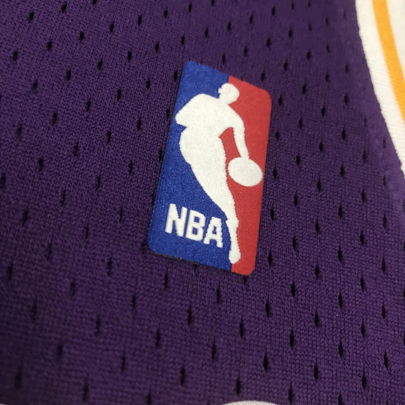 Los Angeles Lakers Mitchell & Ness Retro Dennis Rodman #73 Purple Men’s Jersey
