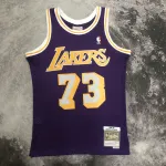 Los Angeles Lakers Mitchell & Ness Retro Dennis Rodman #73 Purple Men’s Jersey