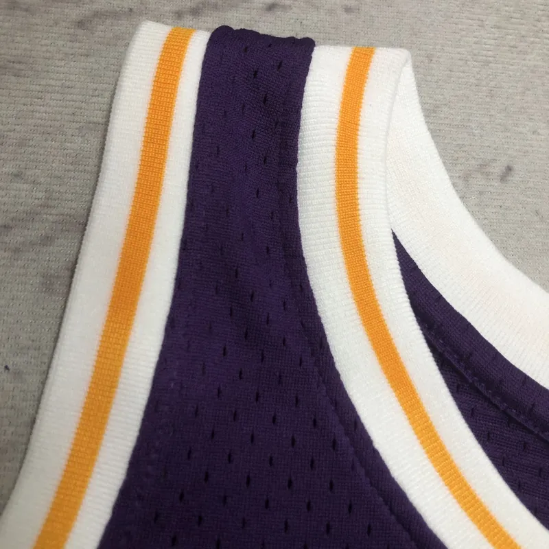 Los Angeles Lakers Mitchell & Ness Retro Dennis Rodman #73 Purple Men’s Jersey