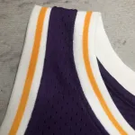 Los Angeles Lakers Mitchell & Ness Retro Dennis Rodman #73 Purple Men’s Jersey