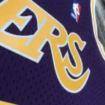 Los Angeles Lakers Mitchell & Ness Retro Dennis Rodman #73 Purple Men’s Jersey