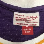 Los Angeles Lakers Mitchell & Ness Retro Dennis Rodman #73 Purple Men’s Jersey