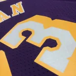 Los Angeles Lakers Mitchell & Ness Retro Dennis Rodman #73 Purple Men’s Jersey