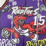 Toronto Raptors Mitchell & Ness Classic Vince Carter #15 Jersey | NBA Swingman Jersey